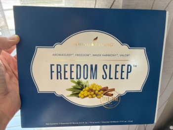 Freedom Sleep by Ancient Paths